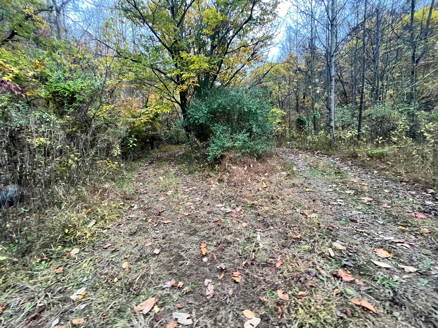 Image for SOLD $291,500 - 195 Acres with Timber & Minerals in Kanawha County