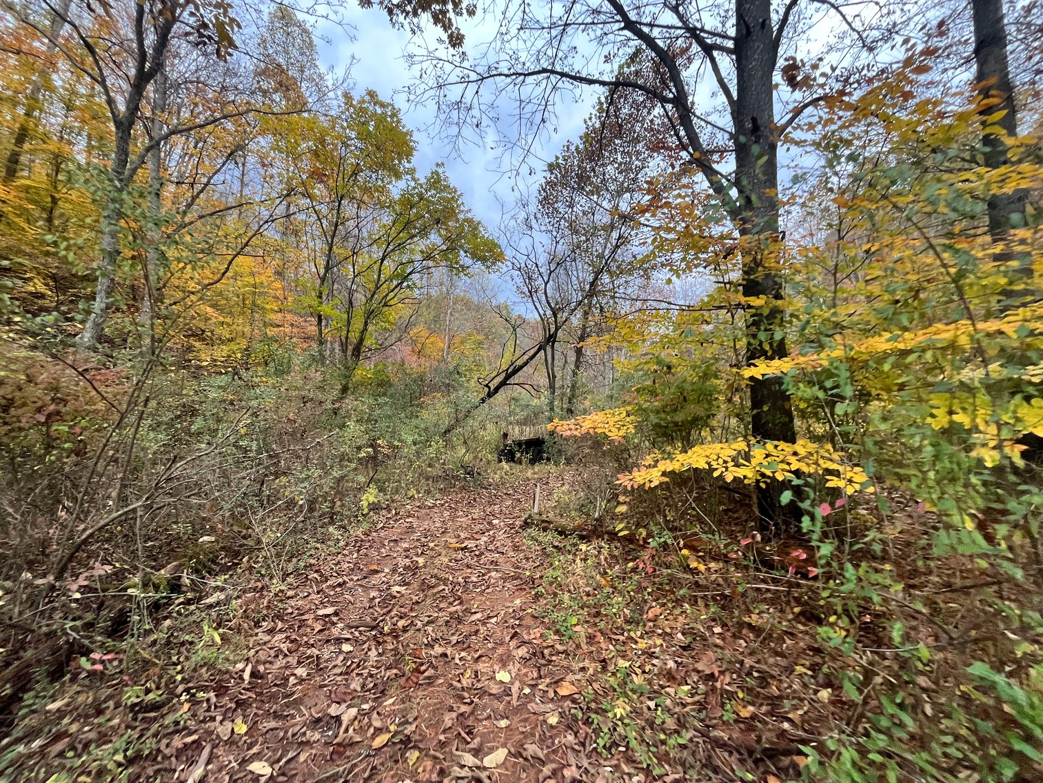 Image for SOLD $291,500 - 195 Acres with Timber & Minerals in Kanawha County