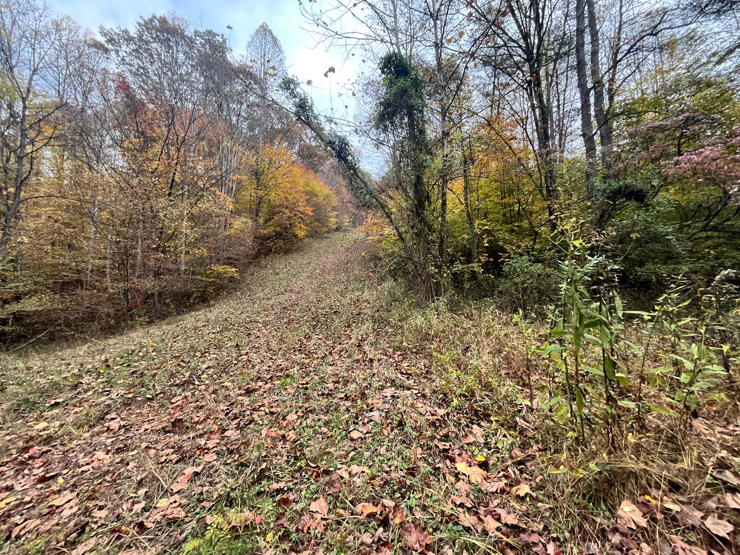 Image for SOLD $291,500 - 195 Acres with Timber & Minerals in Kanawha County
