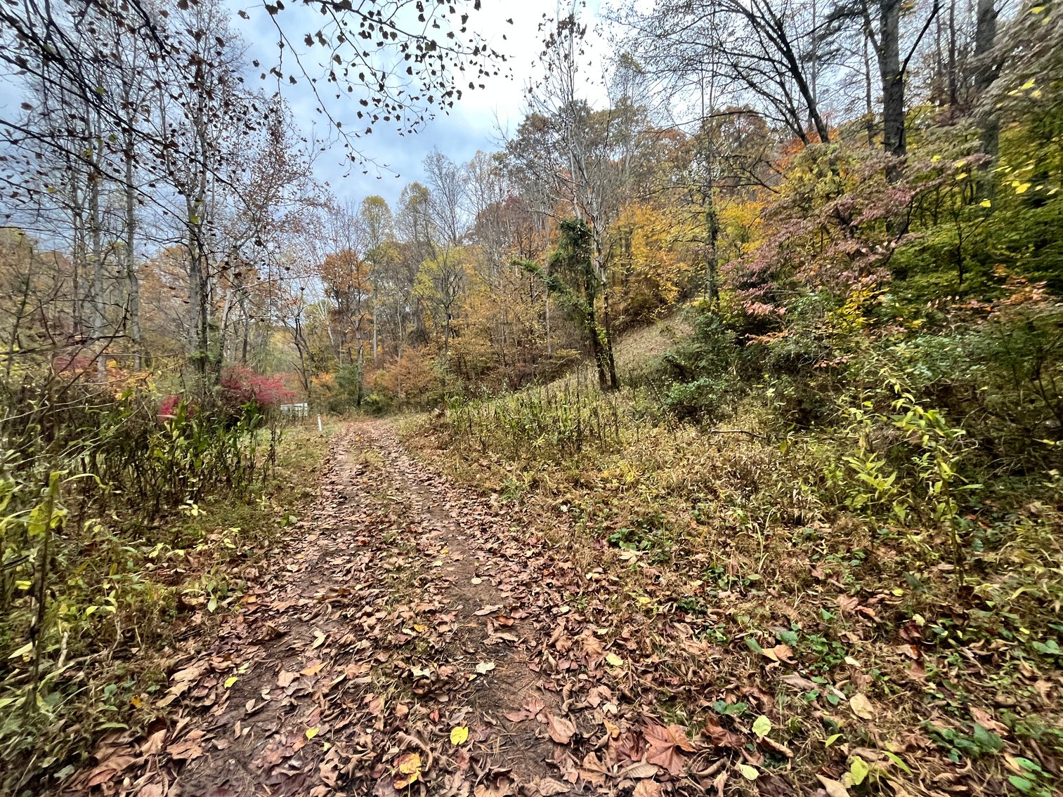 Image for SOLD $291,500 - 195 Acres with Timber & Minerals in Kanawha County