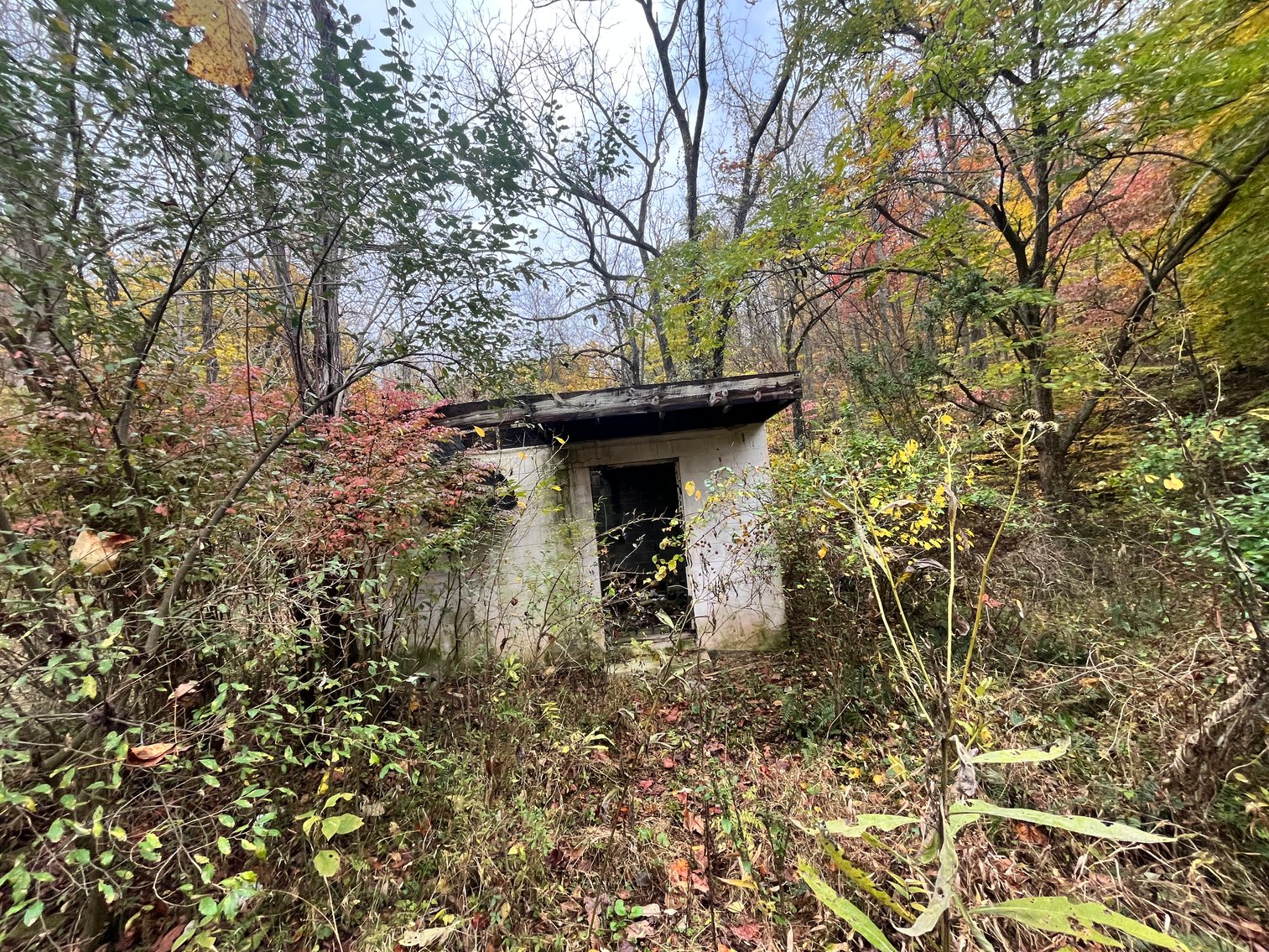 Image for SOLD $291,500 - 195 Acres with Timber & Minerals in Kanawha County