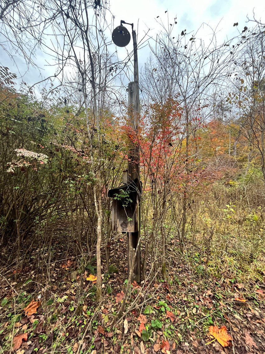 Image for SOLD $291,500 - 195 Acres with Timber & Minerals in Kanawha County