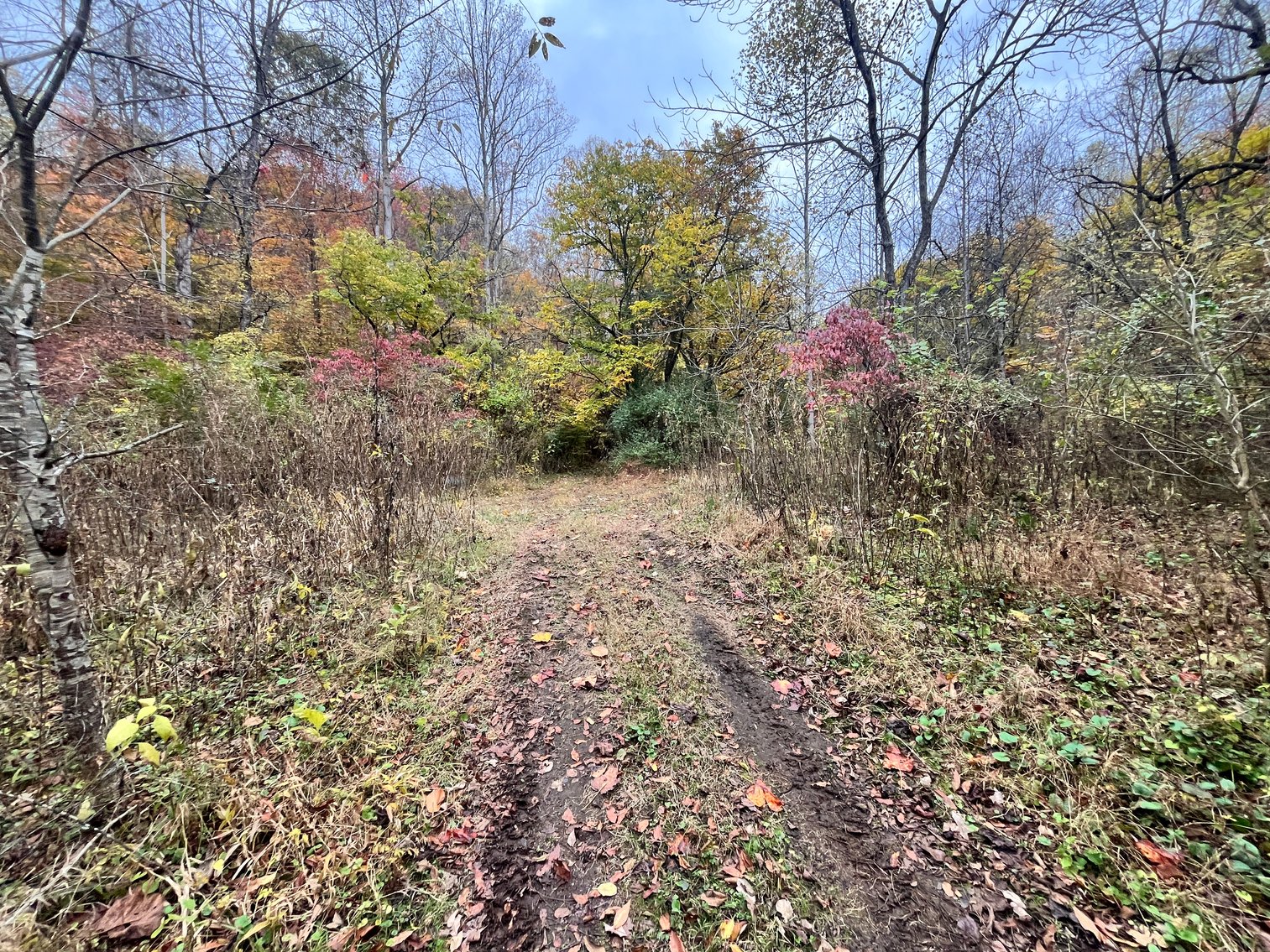 Image for SOLD $291,500 - 195 Acres with Timber & Minerals in Kanawha County