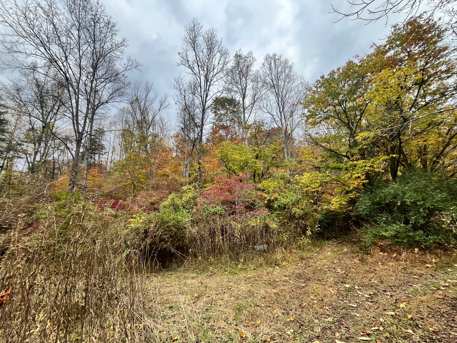 Image for SOLD $291,500 - 195 Acres with Timber & Minerals in Kanawha County