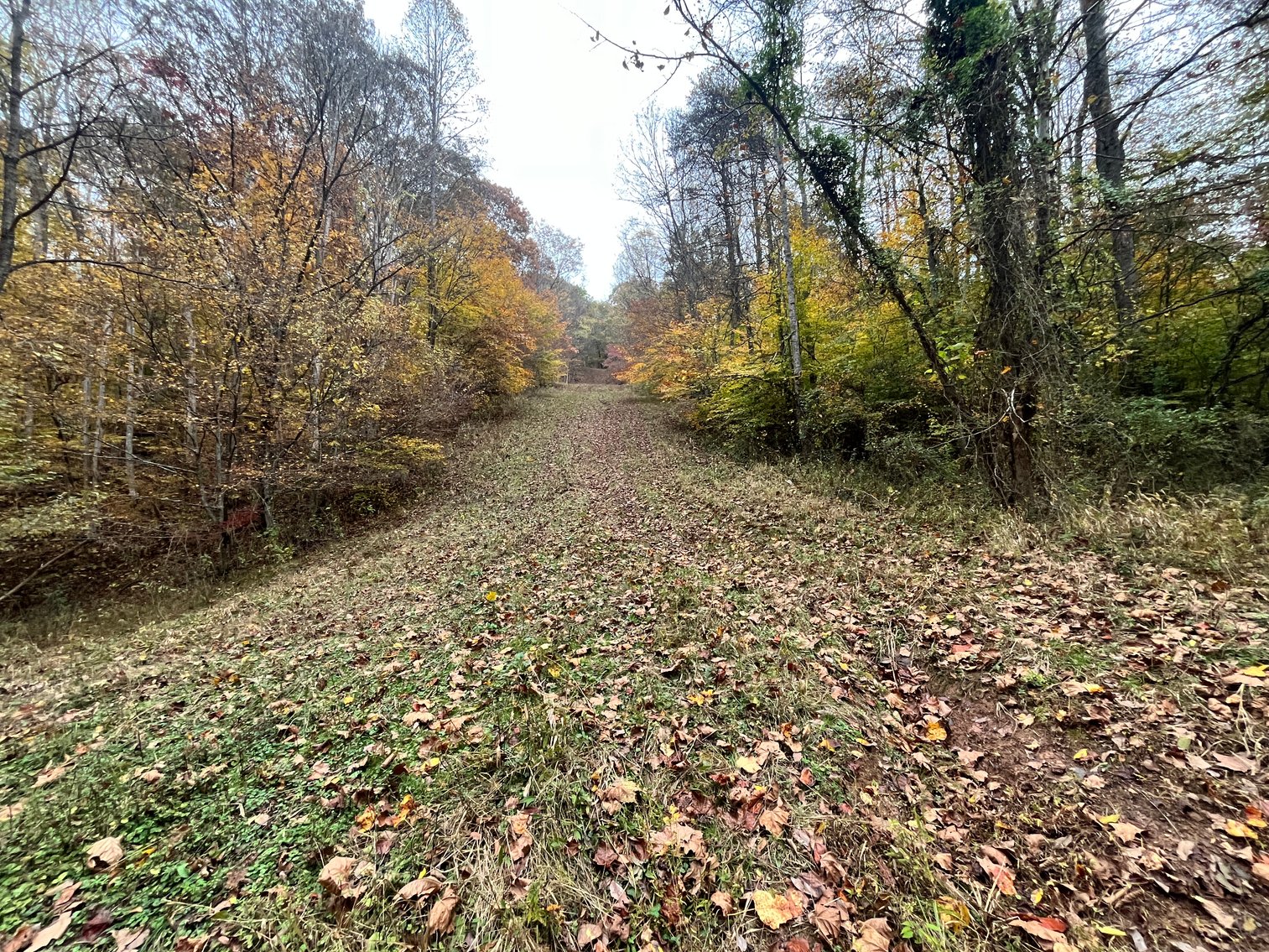 Image for SOLD $291,500 - 195 Acres with Timber & Minerals in Kanawha County