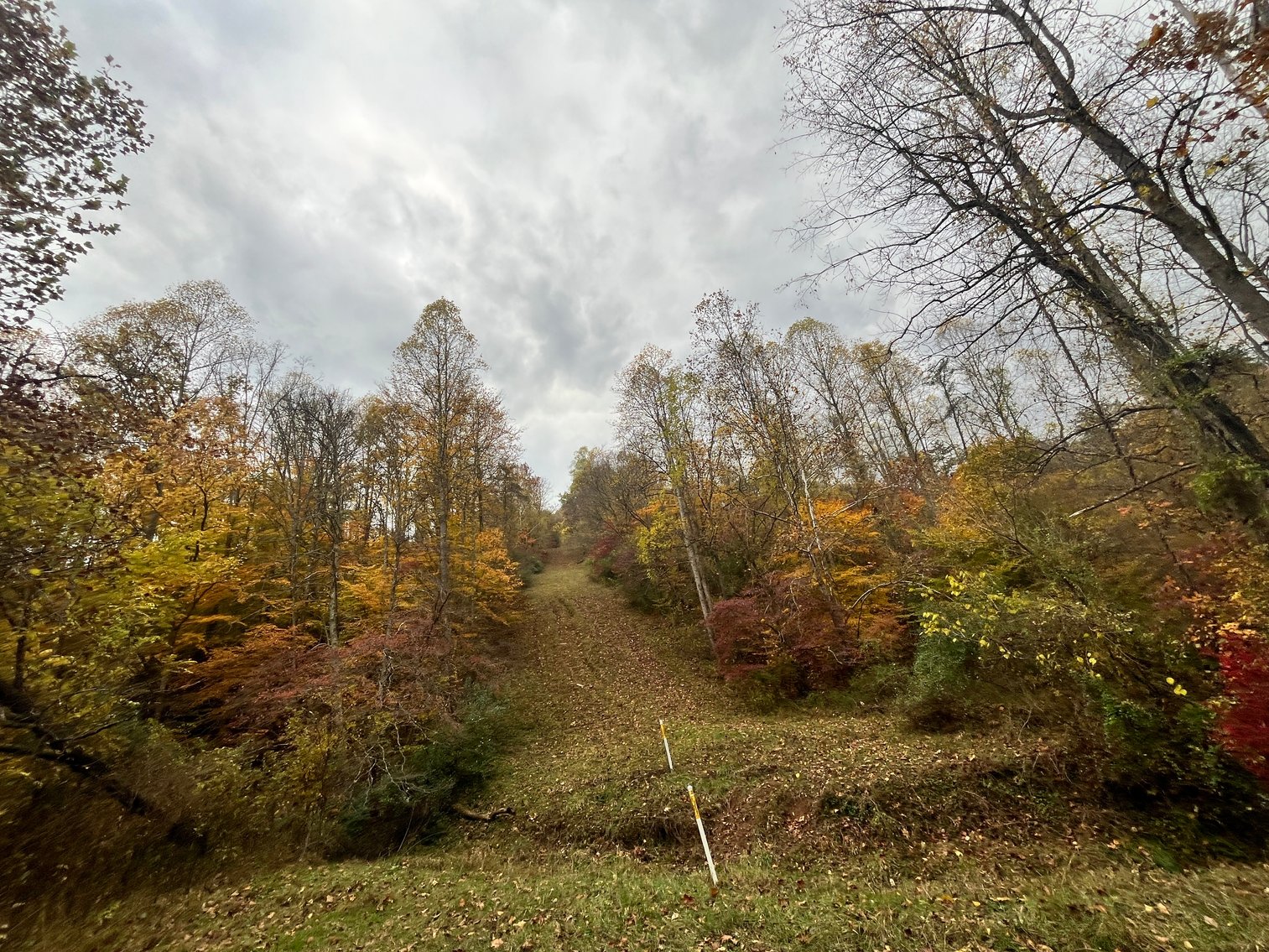 Image for SOLD $291,500 - 195 Acres with Timber & Minerals in Kanawha County