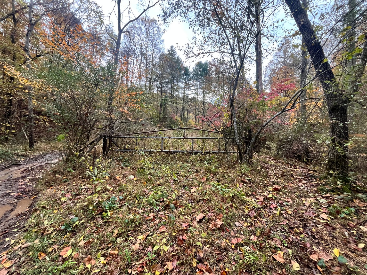 Image for SOLD $291,500 - 195 Acres with Timber & Minerals in Kanawha County