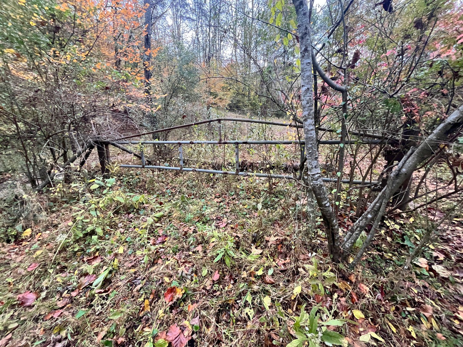 Image for SOLD $291,500 - 195 Acres with Timber & Minerals in Kanawha County