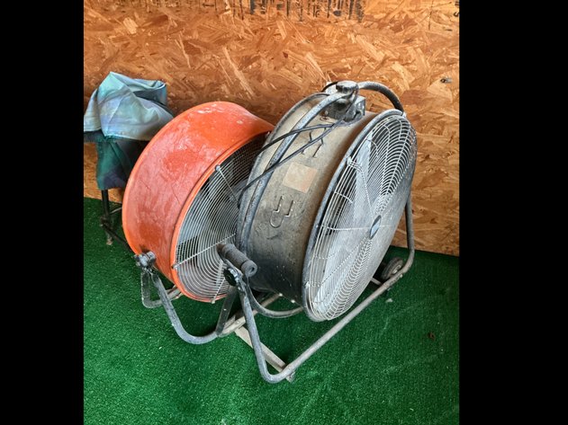 Image for Fans