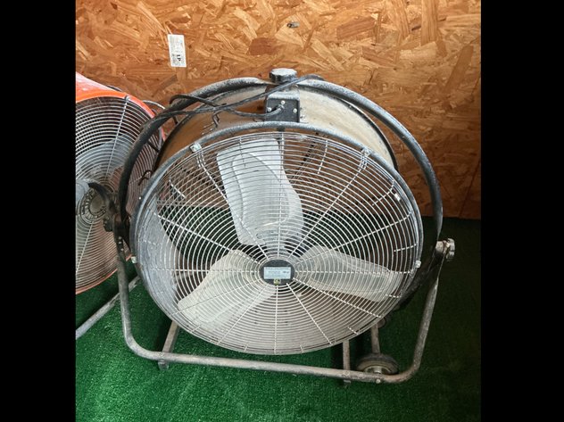 Image for Fans
