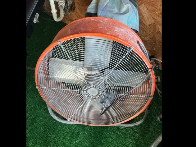 Image for Fans
