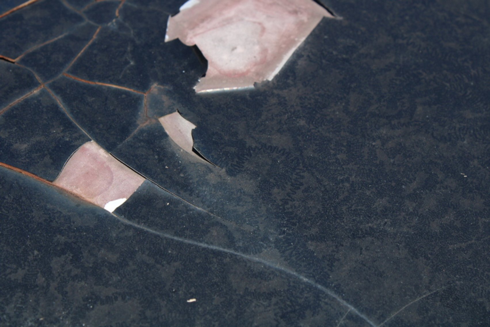 Image for 1950 Ford Custom 