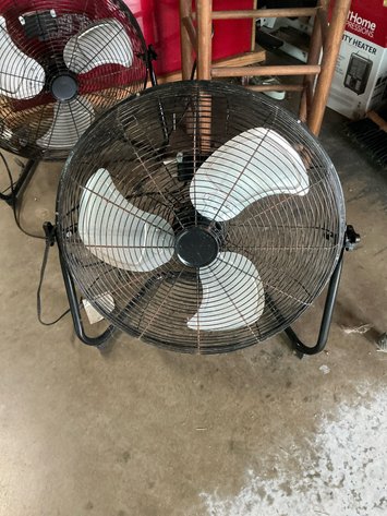 Image for Fans
