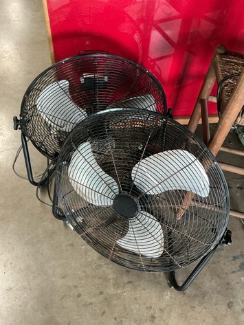 Image for Fans