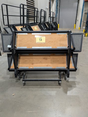 Image for Risers