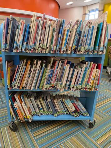Image for Elementary Library Books