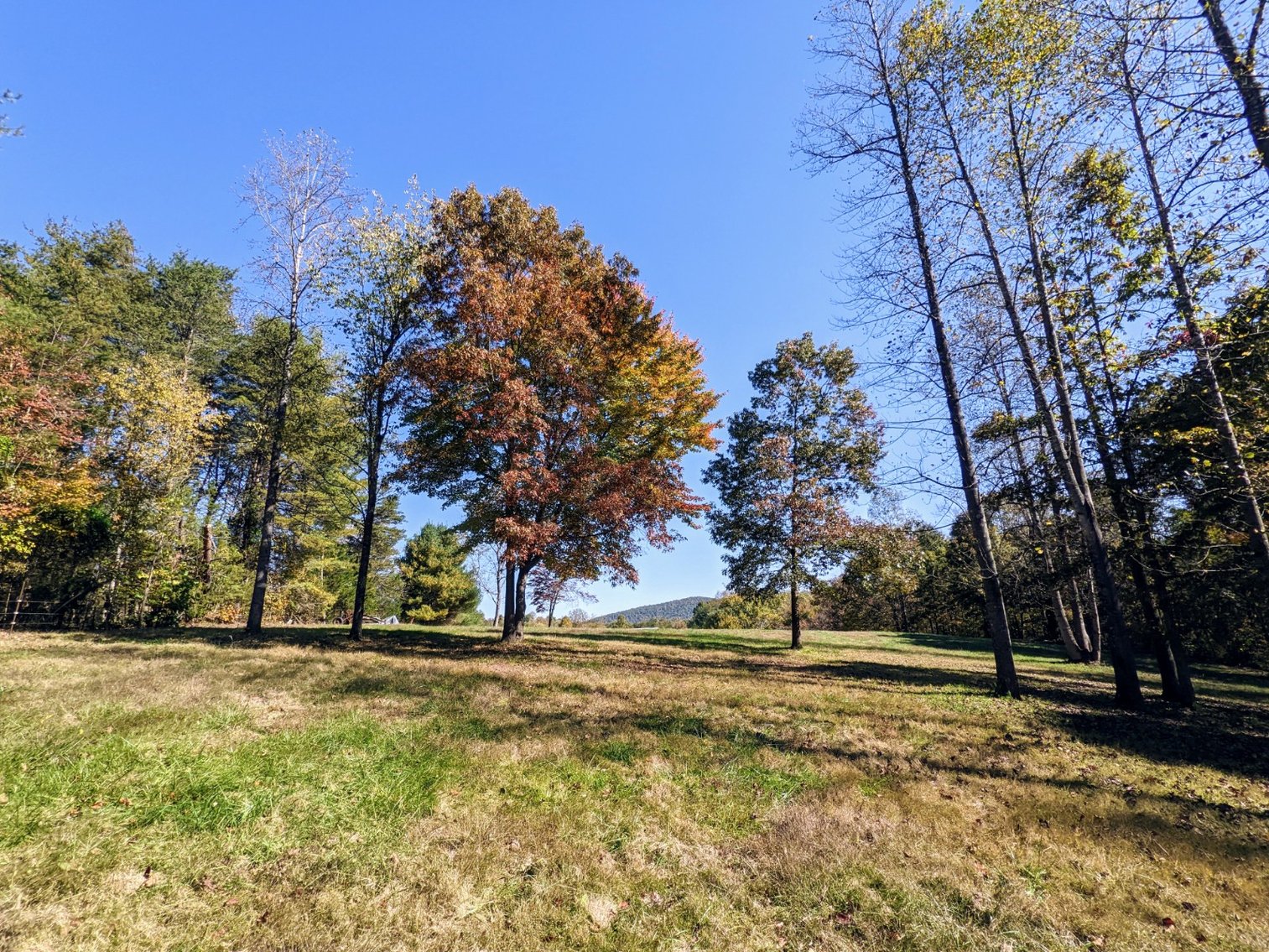 Image for 5 Bedroom 3 Bath Home On 5.79 Acres In Greene County VA