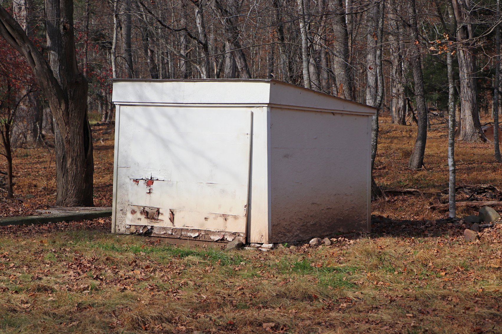 Image for Three Bedroom House On 2.46 +/- Acres In Criders VA