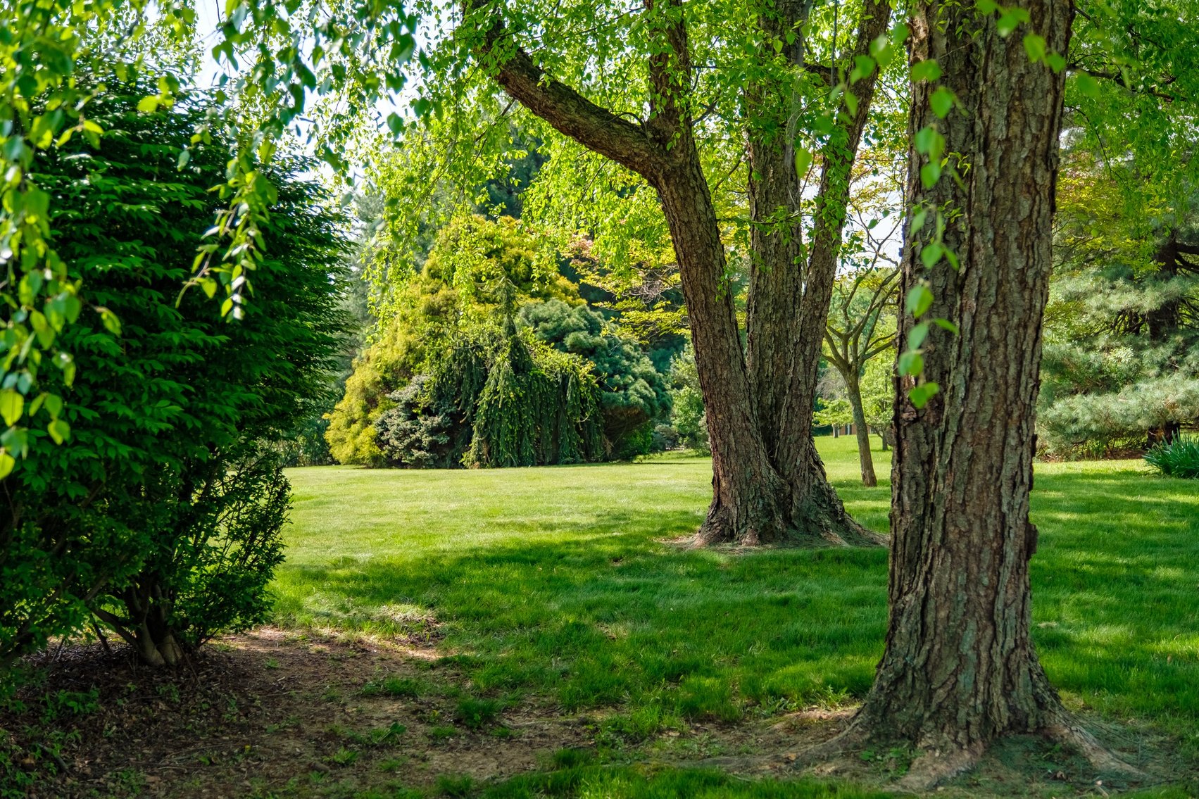 Image for Beautiful Brick Home On Large Lot In Mint Spring VA