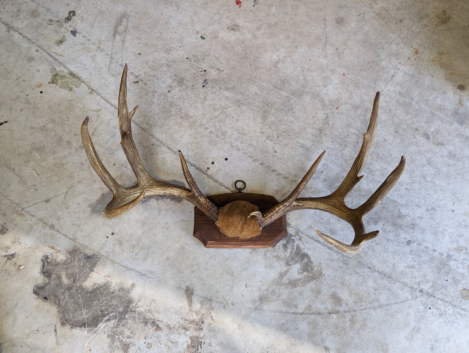 Image for Glenn and Joy Darnell Estate Auction