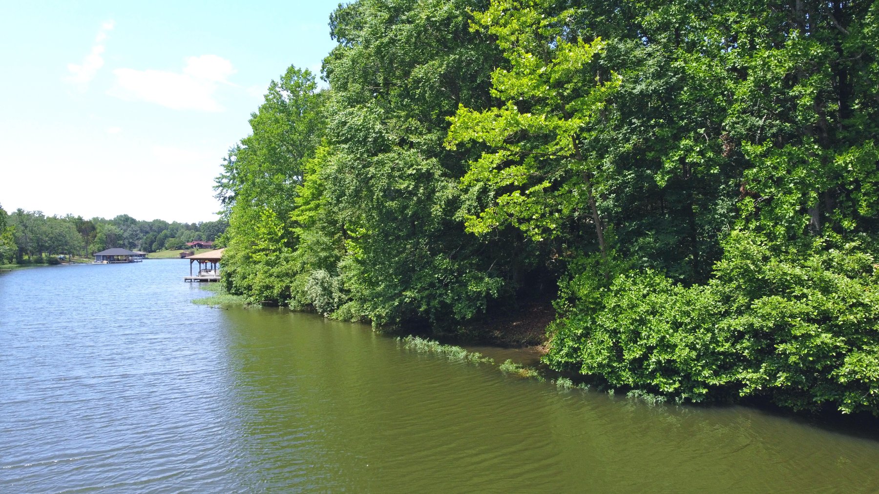Image for Lake Anna Waterfront Property