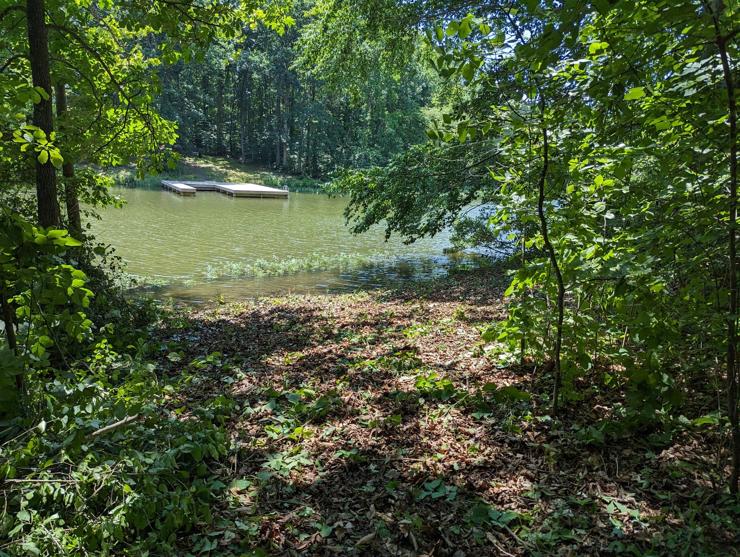 Image for Lake Anna Waterfront Property