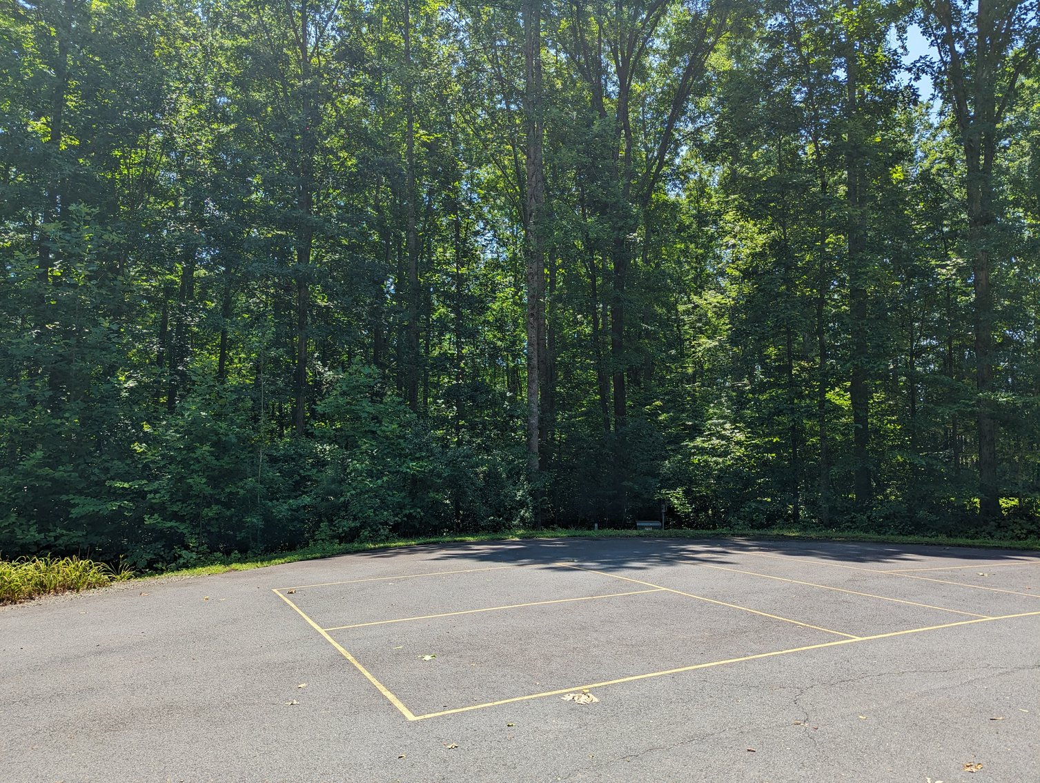 Image for Lake Anna Waterfront Property