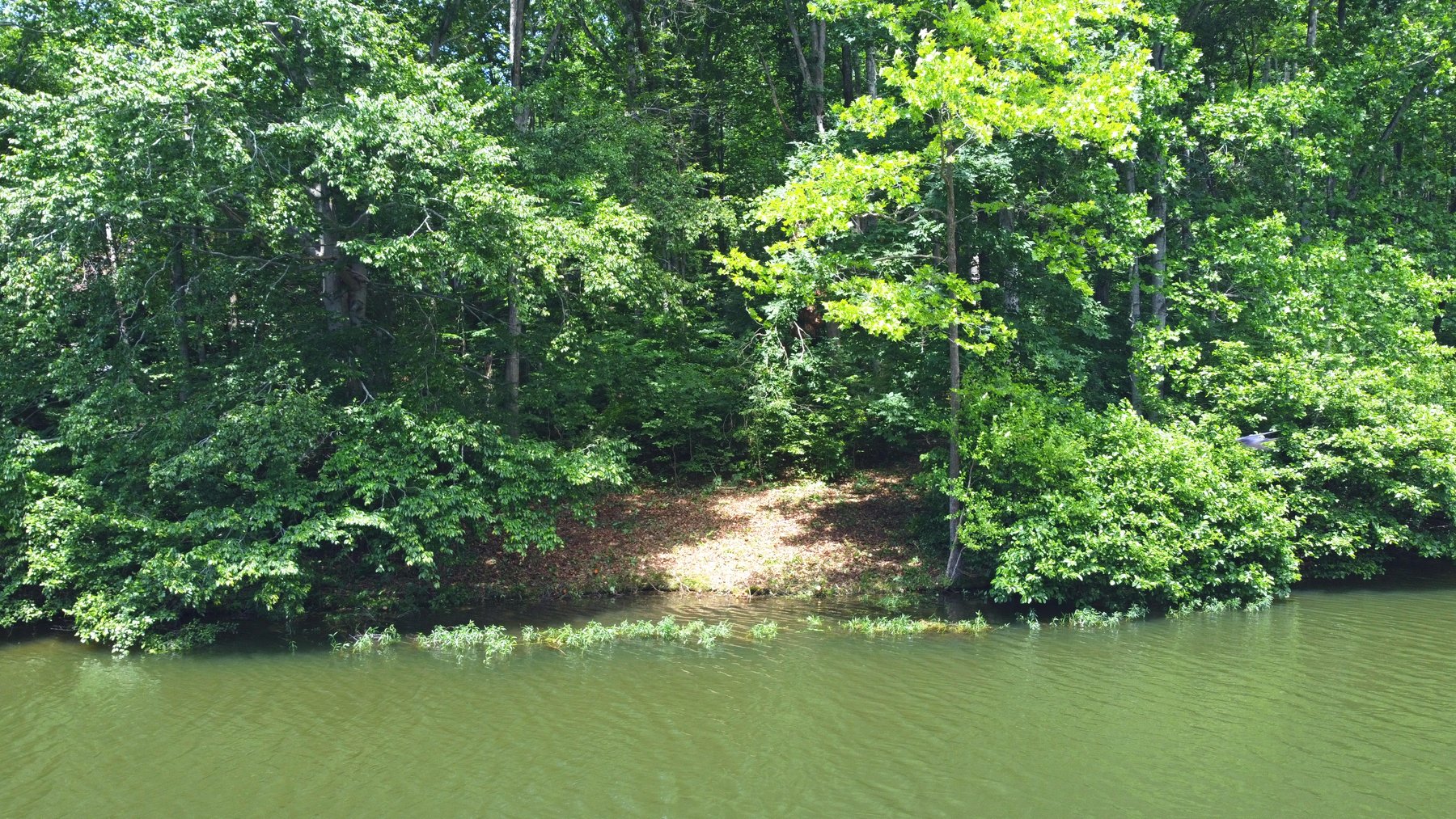 Image for Lake Anna Waterfront Property