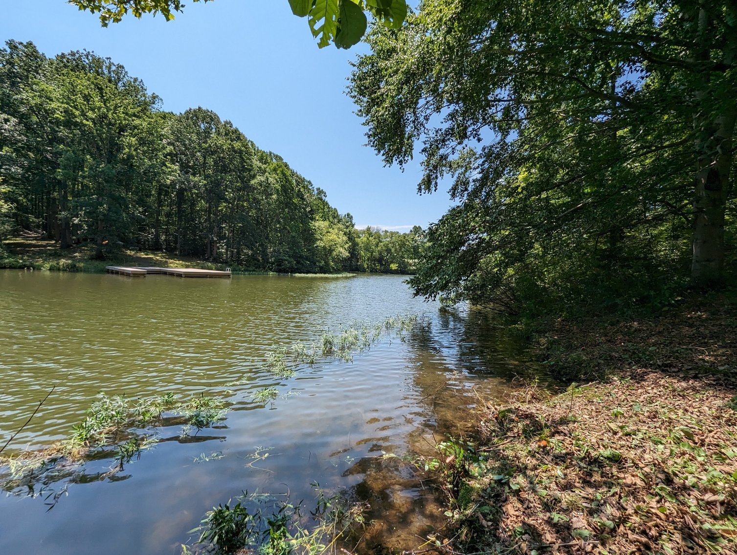 Image for Lake Anna Waterfront Property
