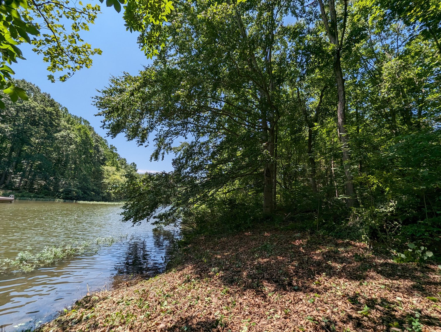 Image for Lake Anna Waterfront Property