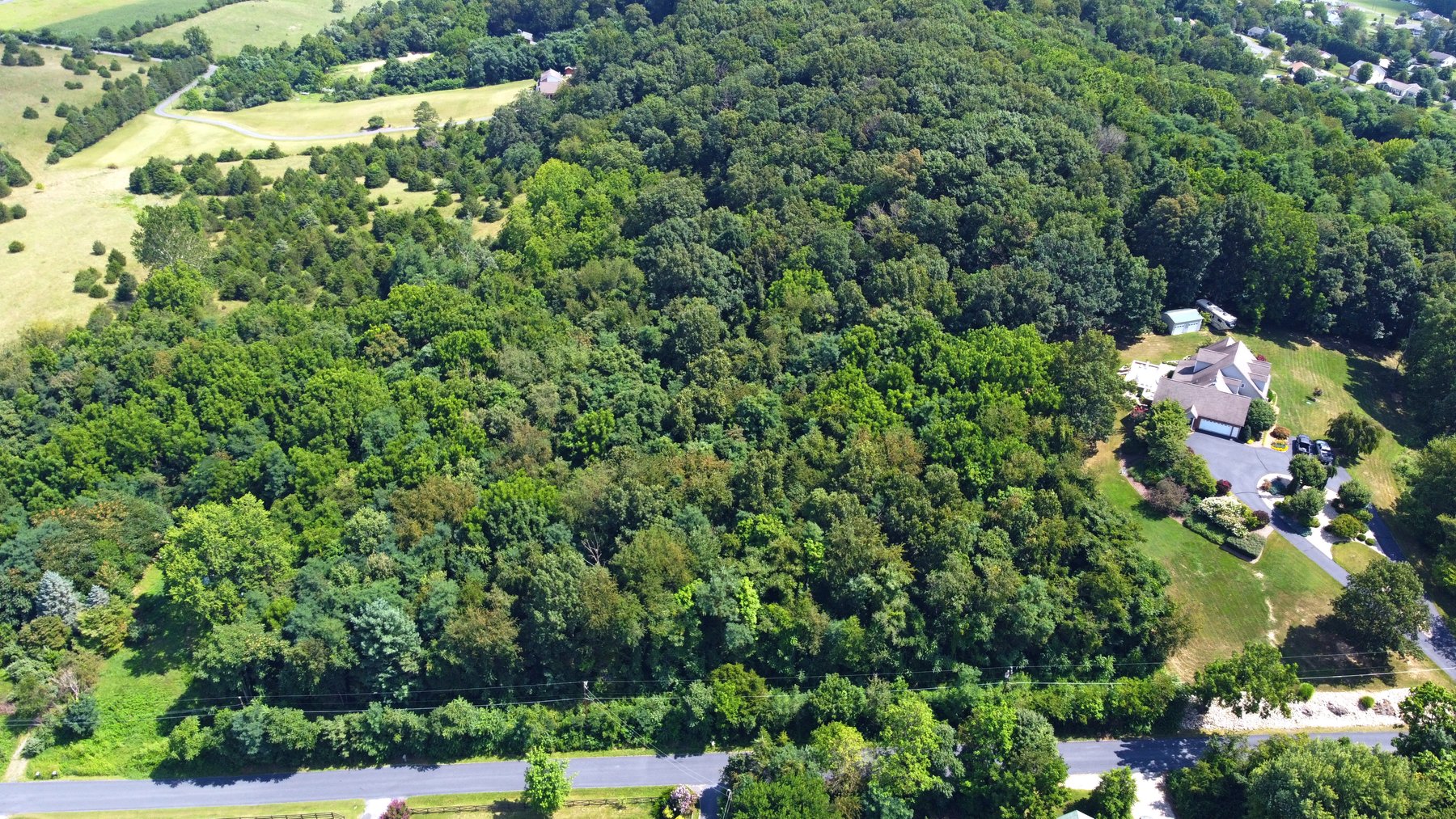 Image for Top Of The Mountain - 55 Acres Zoned SF Residential In Mount Sidney VA