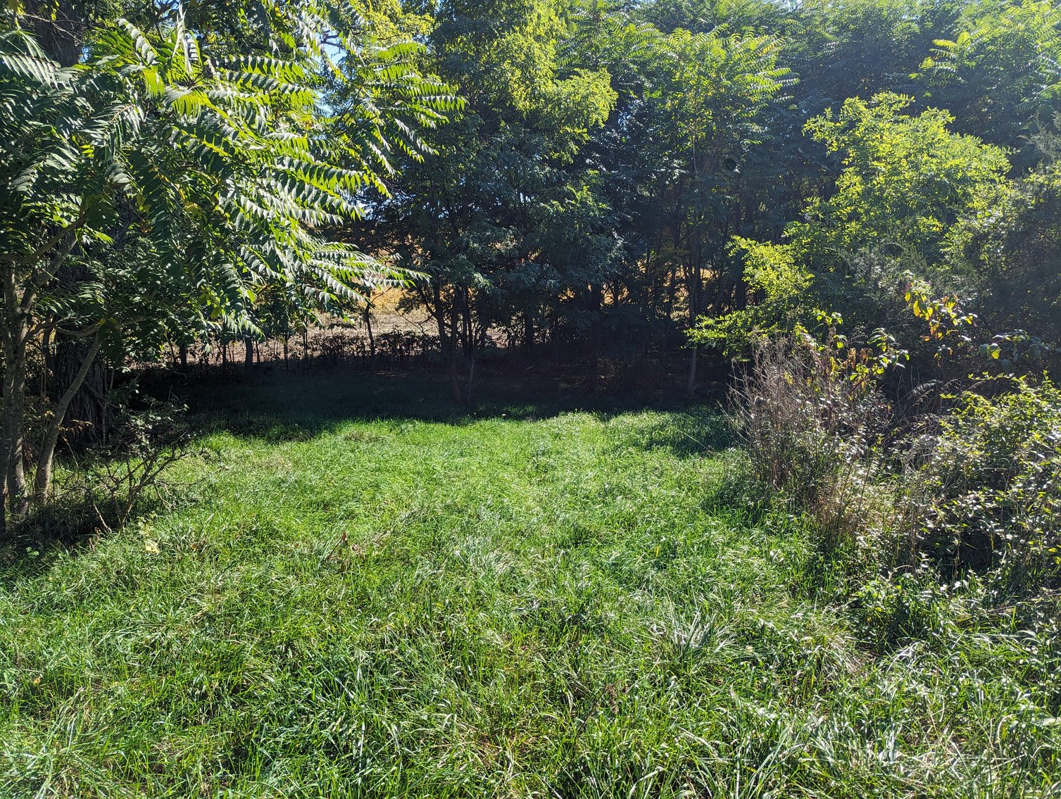 Image for Four Acre Building Lot In Rockingham County
