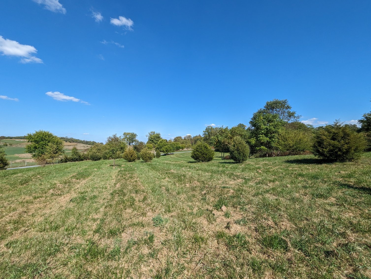 Image for Four Acre Building Lot In Rockingham County