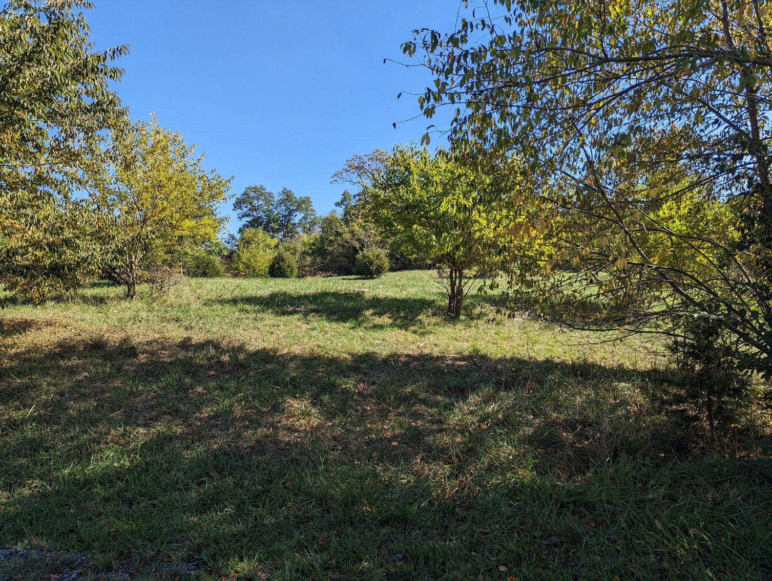 Image for Four Acre Building Lot In Rockingham County