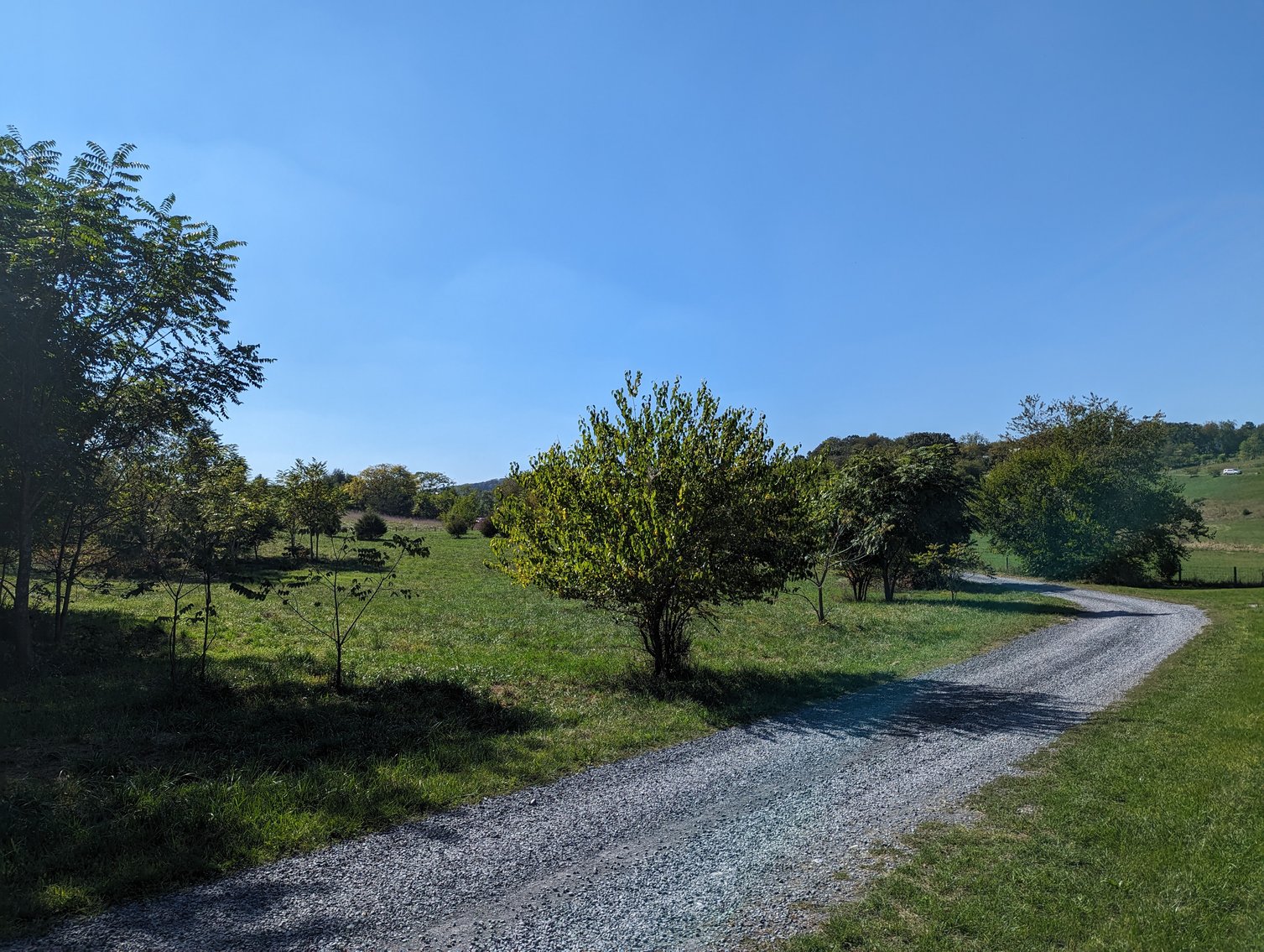 Image for Four Acre Building Lot In Rockingham County