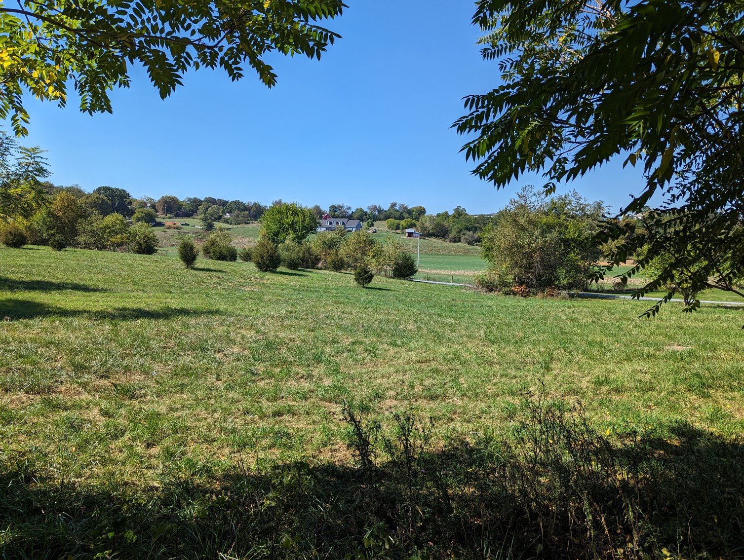 Image for Four Acre Building Lot In Rockingham County