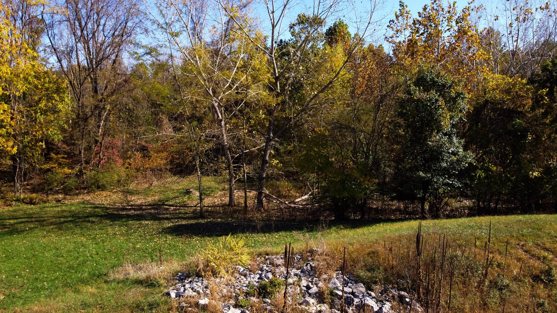 Image for Five Acres Of Residential Land In City Of Staunton