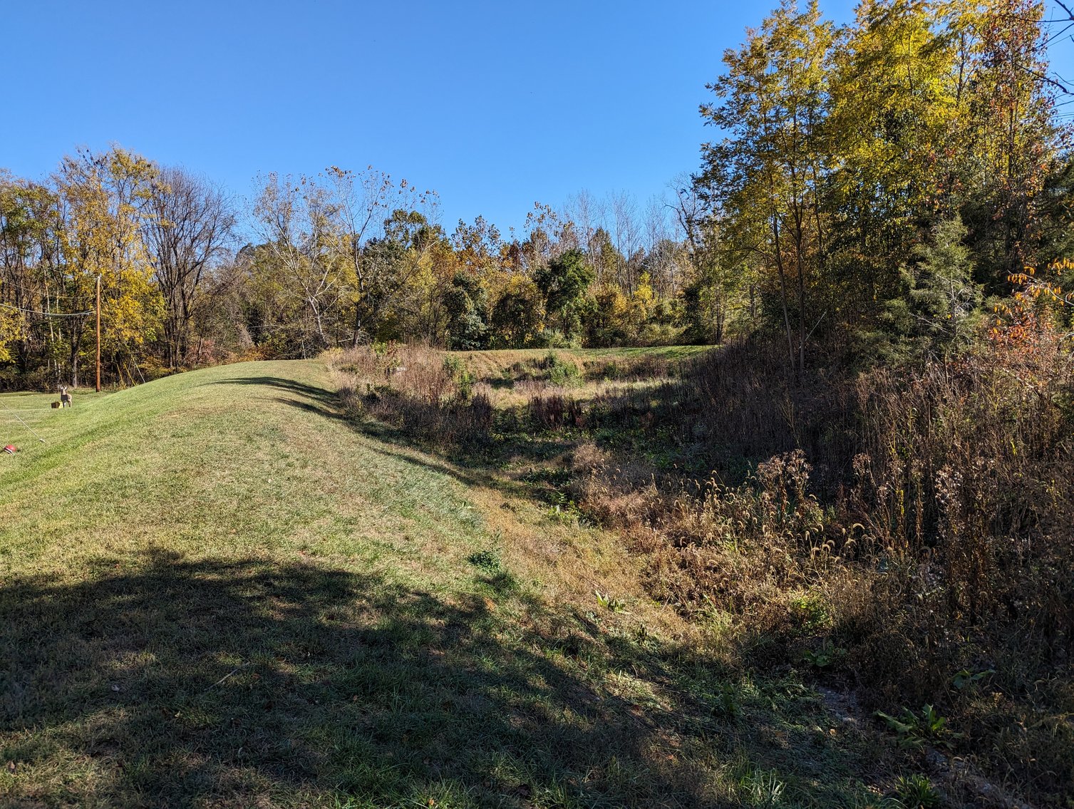Image for Five Acres Of Residential Land In City Of Staunton