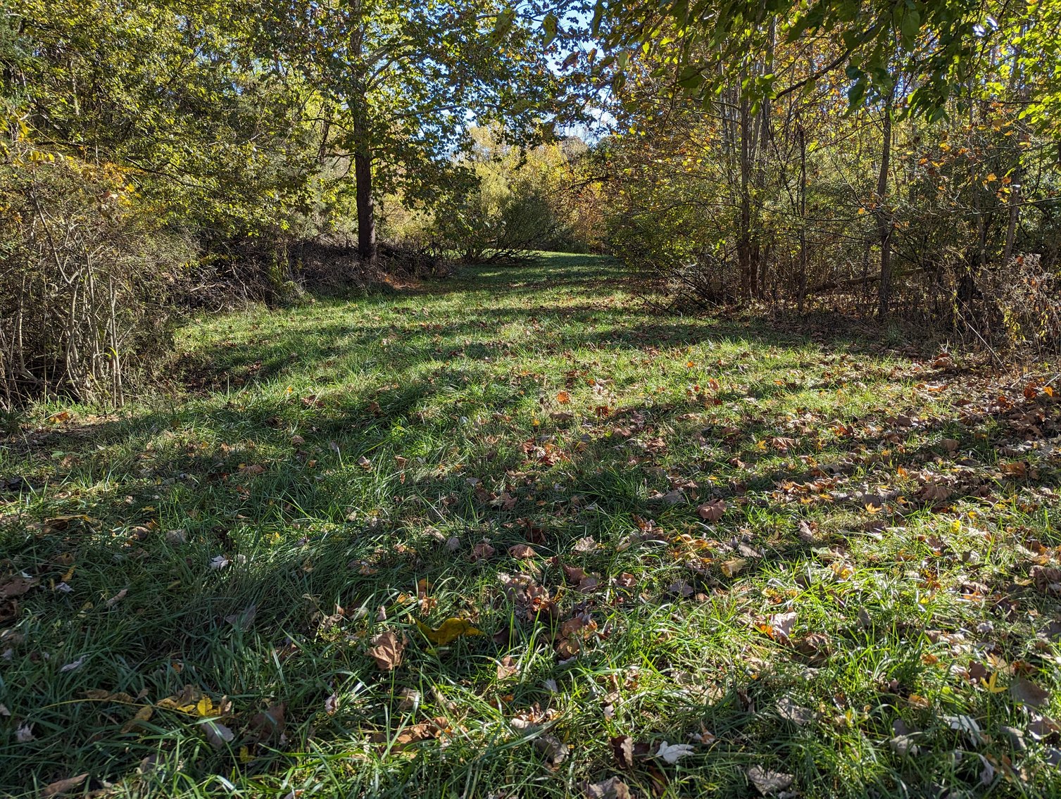 Image for Five Acres Of Residential Land In City Of Staunton
