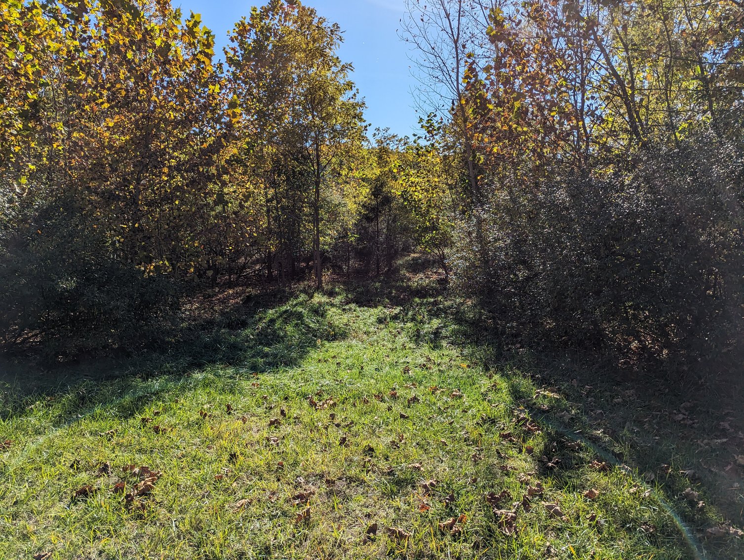 Image for Five Acres Of Residential Land In City Of Staunton