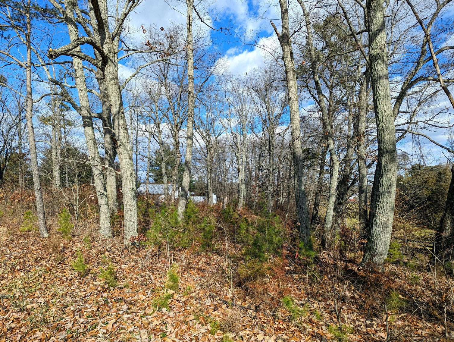 Image for 3 Bedroom Home On 2 Acres In Madison County VA