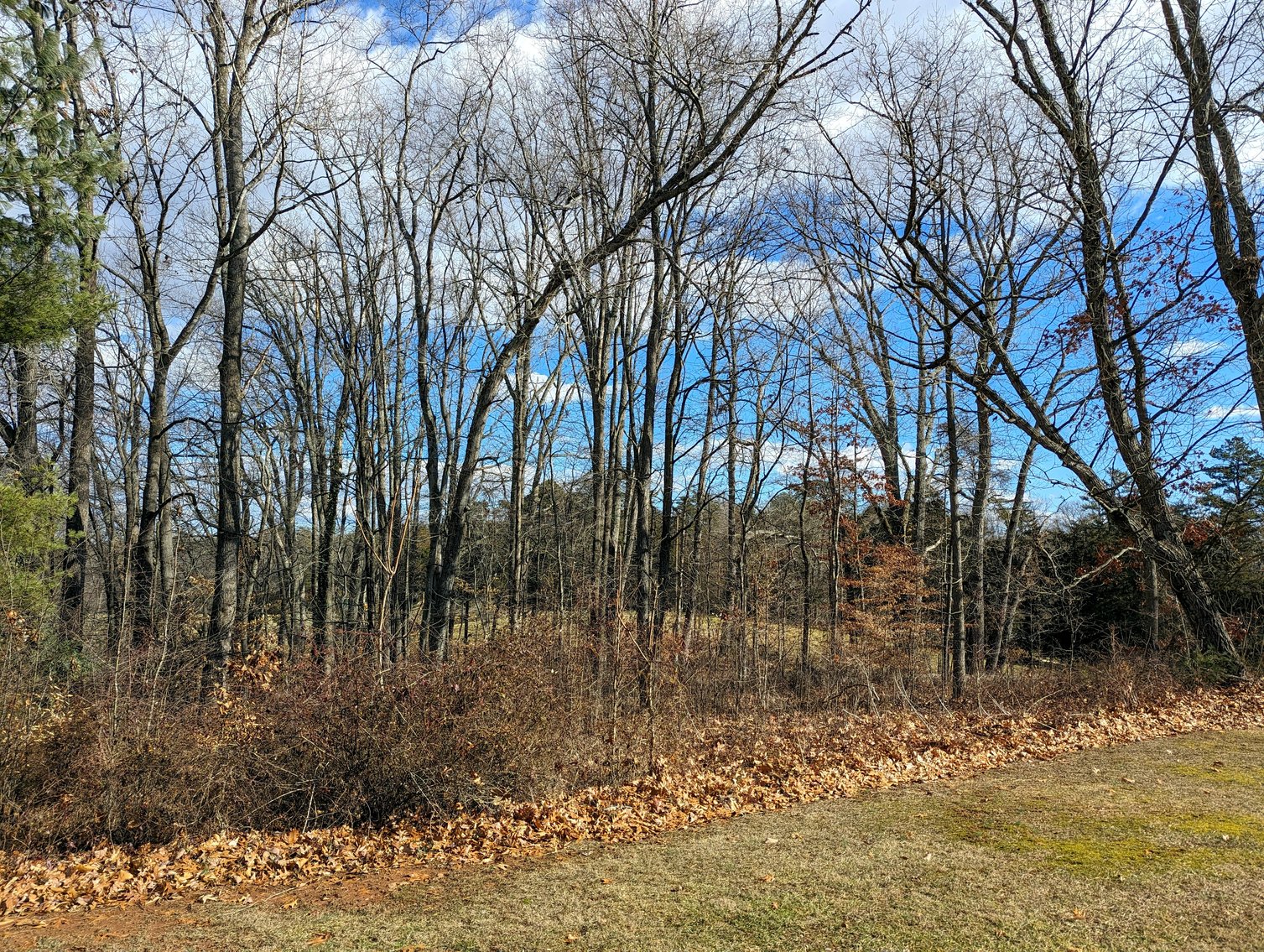 Image for 3 Bedroom Home On 2 Acres In Madison County VA