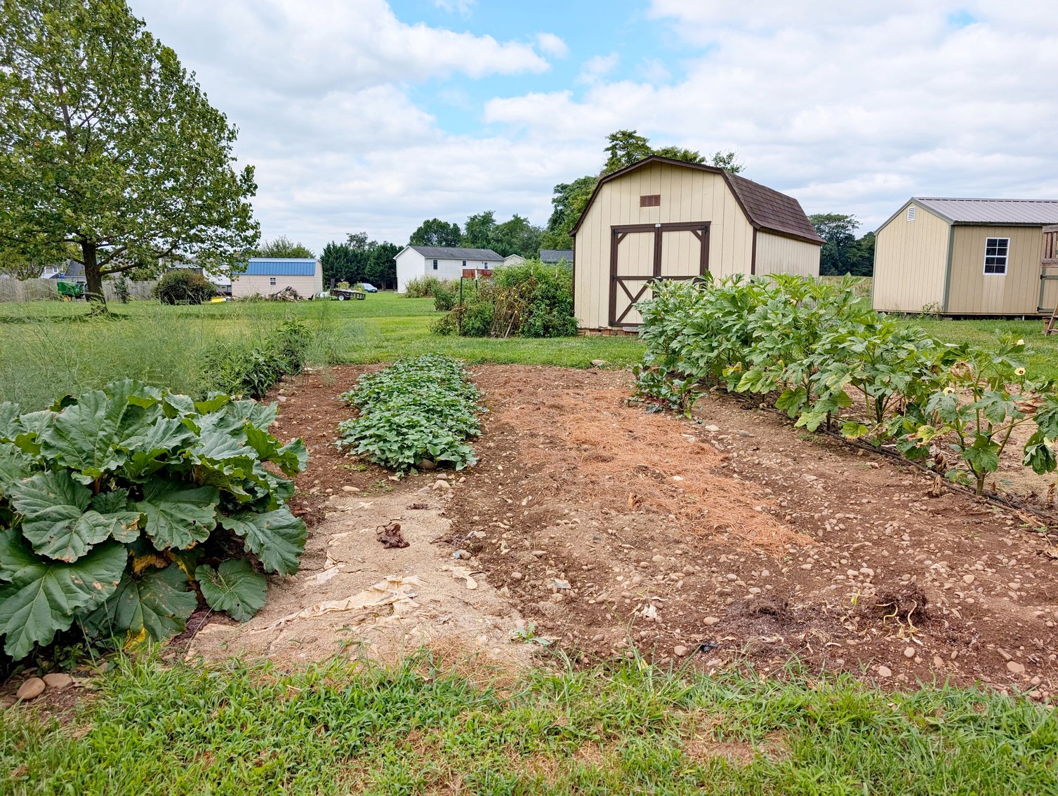 Image for 4 Bedroom 3 Bath Brick Ranch Home Near Dayton VA