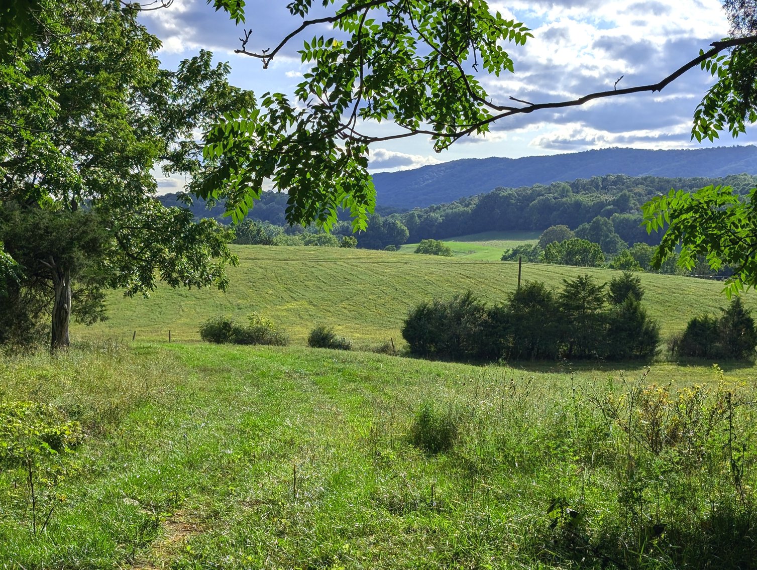 Image for 70 +/- Acres With Farmhouse And Outbuildings Near Singers Glen VA