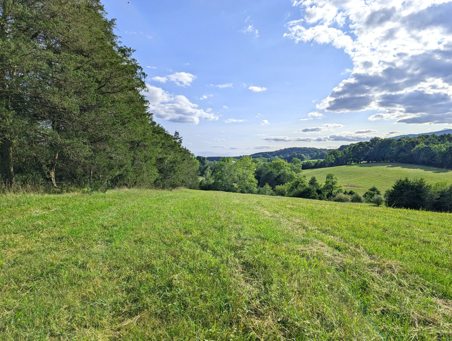 Image for 70 +/- Acres With Farmhouse And Outbuildings Near Singers Glen VA