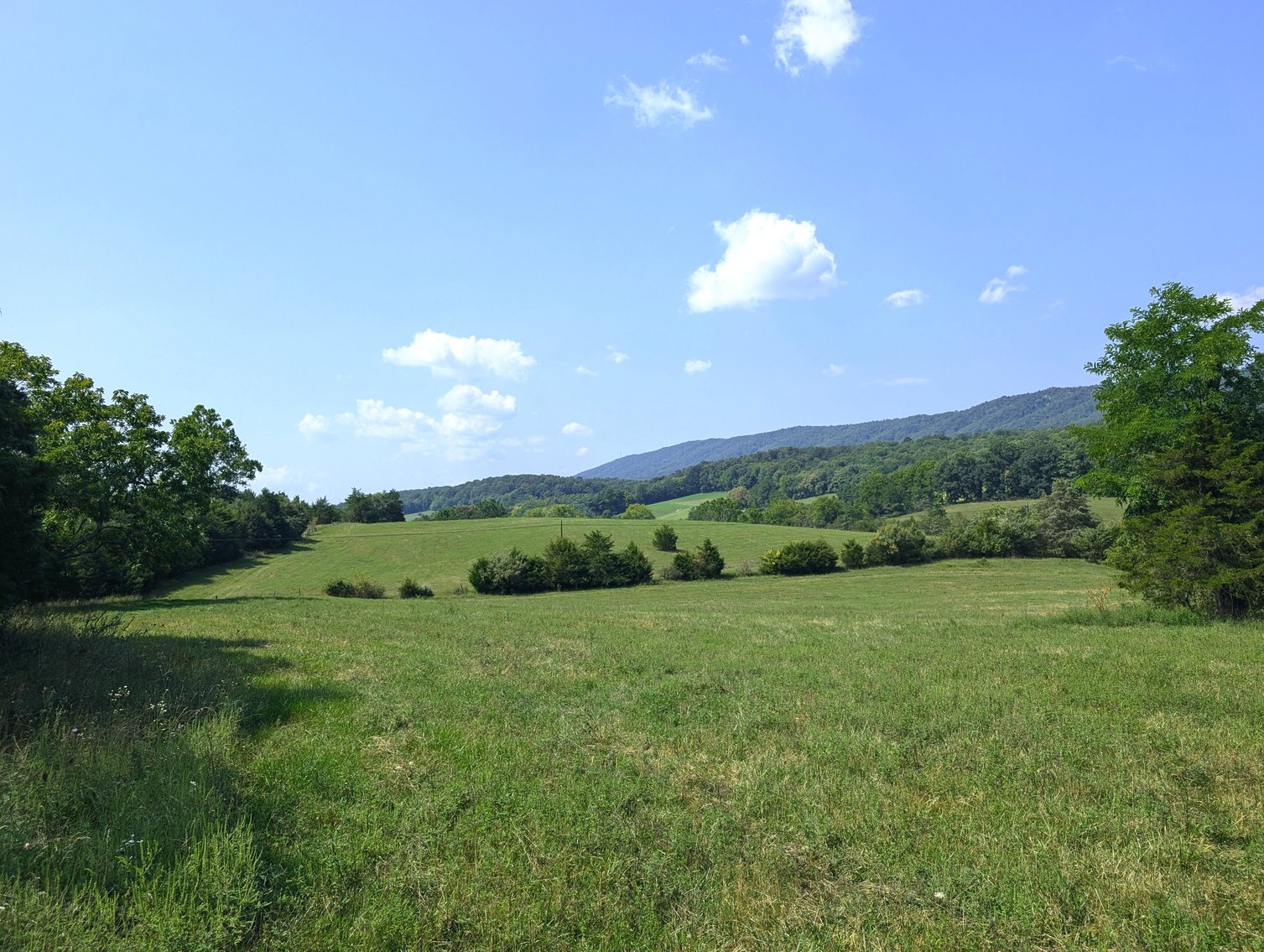 Image for 70 +/- Acres With Farmhouse And Outbuildings Near Singers Glen VA