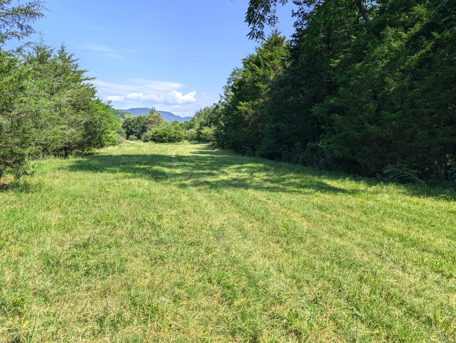 Image for 70 +/- Acres With Farmhouse And Outbuildings Near Singers Glen VA