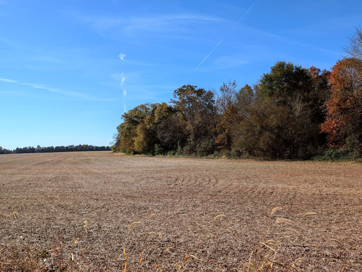 Image for 54.35 +/- Acres Of Land Near Bealeton VA