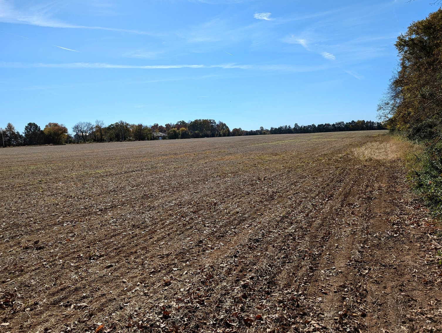 Image for 54.35 +/- Acres Of Land Near Bealeton VA