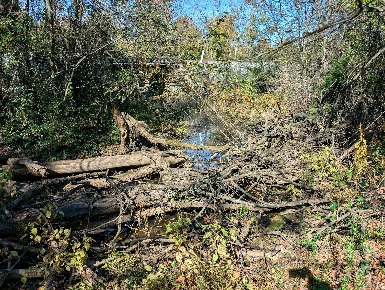 Image for 54.35 +/- Acres Of Land Near Bealeton VA